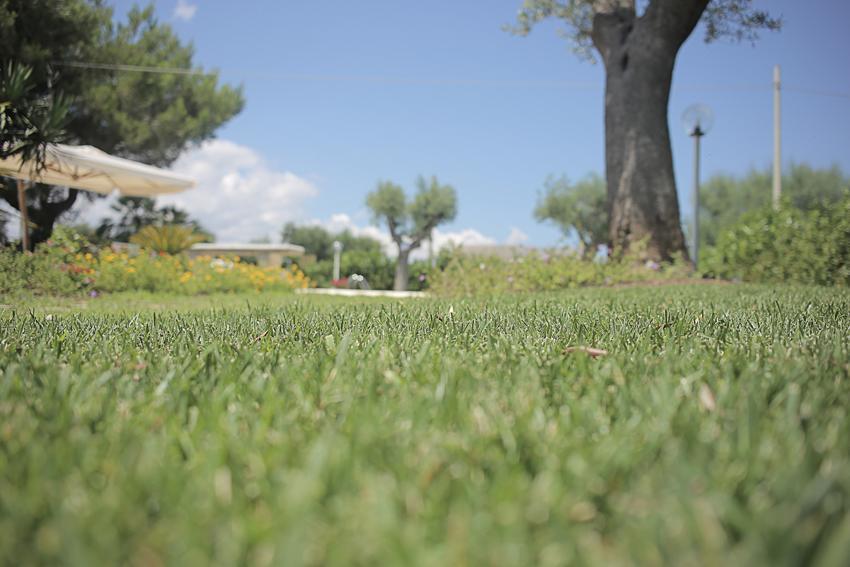 Villa Curri โลโกโรตอนโด ภายนอก รูปภาพ